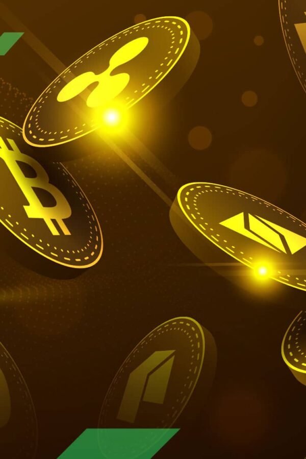 How Crypto Projects Raise Funds